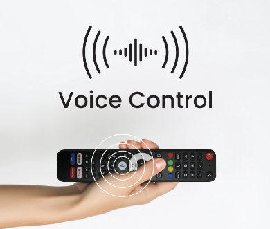 Voice Control for Smart TV